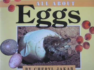 (image for) Sunshine All About Eggs (P) by Cheryl Jakab