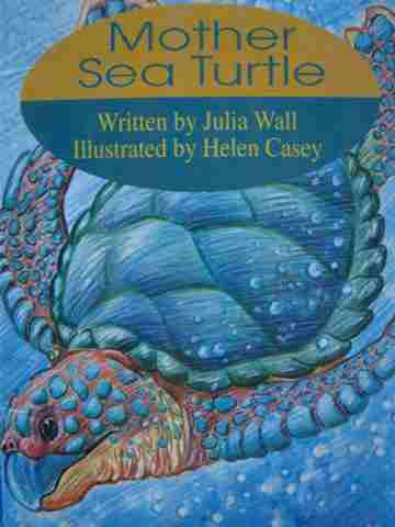 (image for) Foundations 4 Mother Sea Turtle (P) by Julia Wall