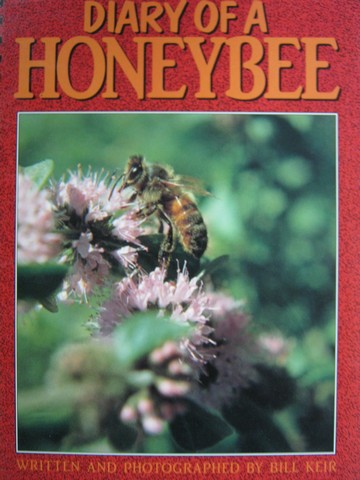 (image for) Literacy 2000 Diary of a Honeybee (P) by Bill Keir