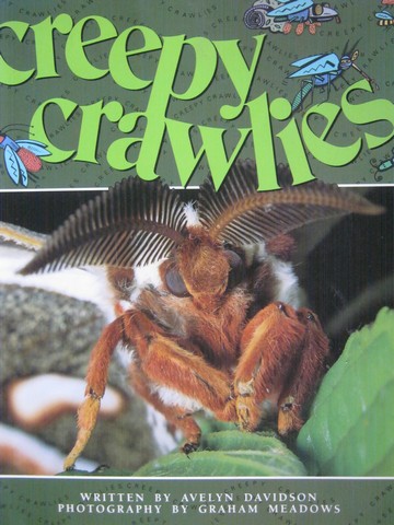 (image for) Literacy 2000 Creepy Crawlies (P) by Avelyn Davidson