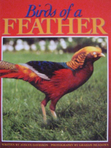 (image for) Literacy 2000 Birds of a Feather (P) by Avelyn Davidson