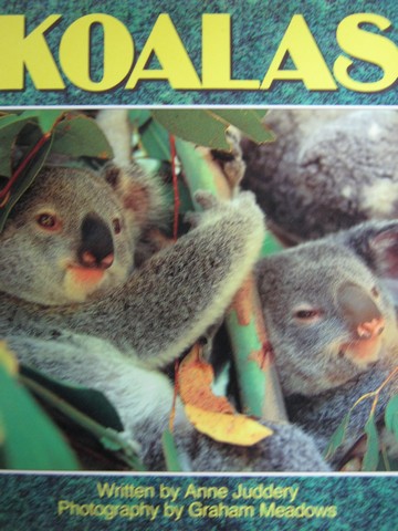 (image for) Literacy 2000 Satellites Koalas (P) by Anne Juddery