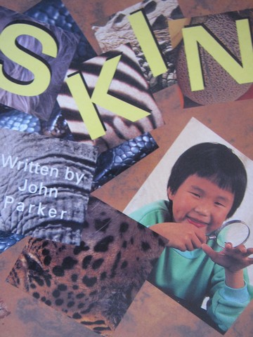 (image for) Literacy 2000 Satellites Skin (P) by John Parker