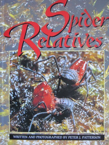 (image for) Literacy 2000 Spider Relatives (P) by Peter J Patterson