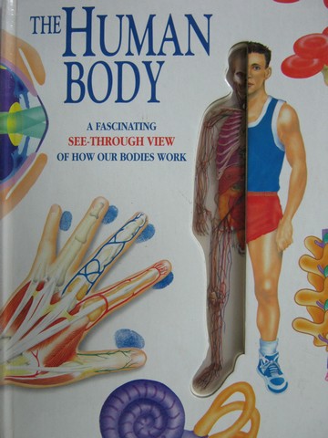 Human Body (H) by Robert J Fabiny