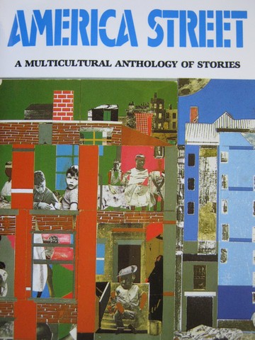 (image for) America Street A Multicultural Anthology of Stories (P) by Mazer