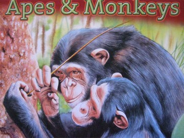 (image for) Nature Series Apes & Monkeys (P)