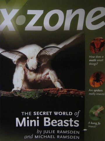 (image for) X Zone Q The Secret World of Mini Beasts (P) by Ramsden