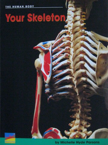 (image for) English Explorers Your Skeleton (P) by Michelle Hyde Parsons