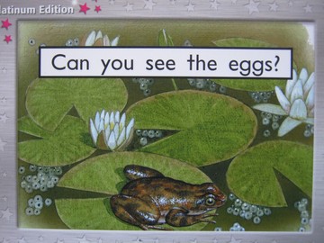 (image for) Rigby PM Collection Platinum Edition Can You See the Eggs? (P)