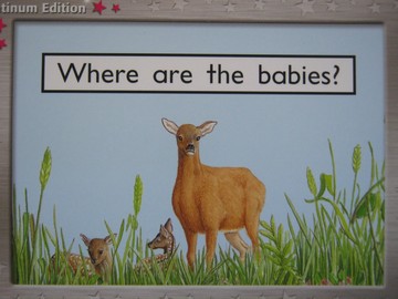 (image for) PM Collection Platinum Edition Where are the Babies? (P) by Randell