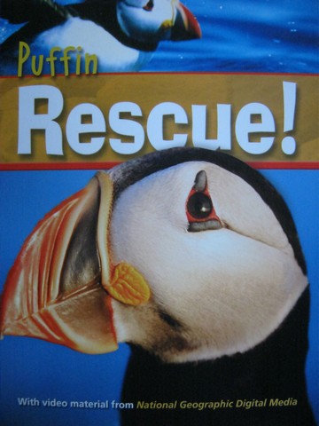 (image for) Puffin Rescue! (P) by Rob Waring