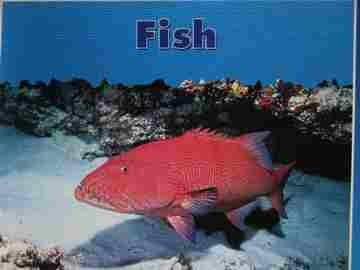 (image for) Fish (P) by Stanley L Swartz