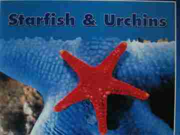 (image for) Starfish & Urchins (P) by Stanley L Swartz