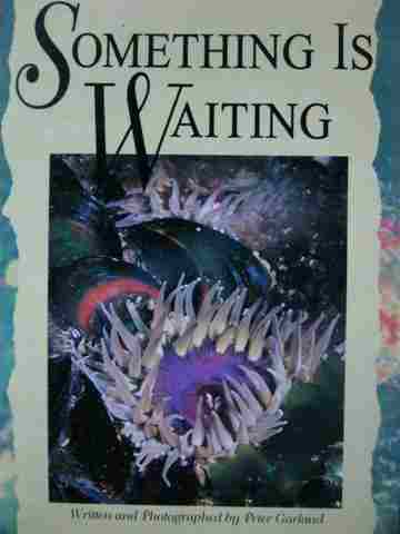 (image for) Literacy 2000 Satellites Something Is Waiting (P) by Garland