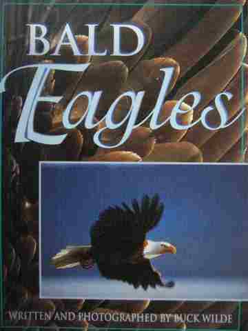 (image for) Bald Eagles (P) by Buck Wilde