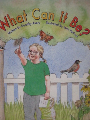 (image for) Storyteller What Can It Be? (P) by Dorothy Avery