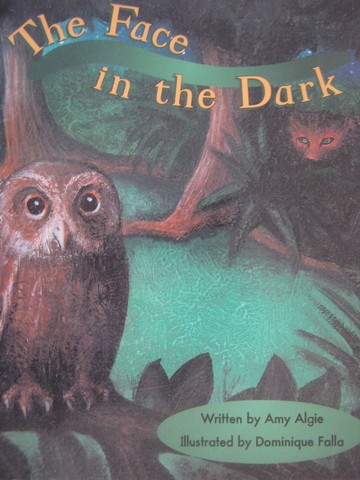 (image for) Storyteller The Face in the Dark (P) by Amy Algie