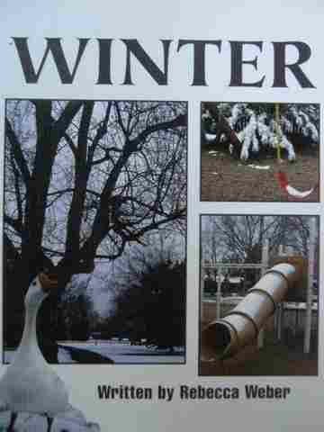 (image for) Storyteller Winter (P) by Rebecca Weber