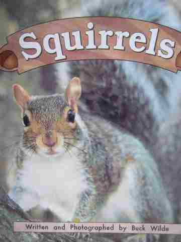(image for) Storyteller Squirrels (P) by Buck Wilde