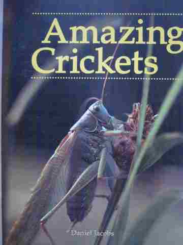 (image for) Discovery Links Amazing Crickets (P) by Daniel Jacobs