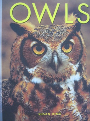(image for) Discovery Links Owls (P) by Susan Ring