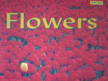 (image for) Book Shop A Flowers (P) by Janice Leotti
