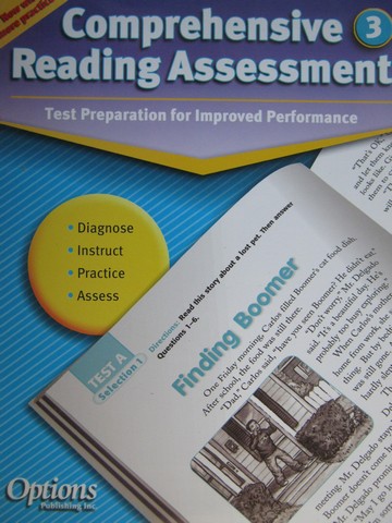 (image for) Comprehensive Reading Assessment 3 (P) by Stull & Gave