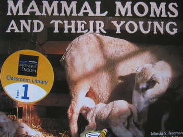 (image for) Mammal Moms & Their Young (P) by Marcia S Freeman