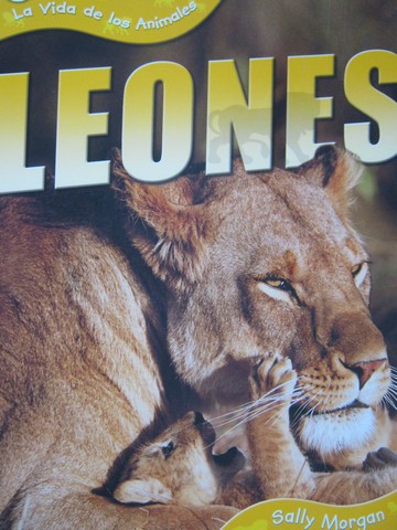 (image for) La Vida de los Animales Leones (P) by Sally Morgan