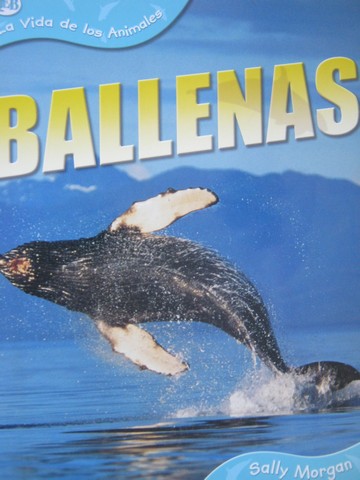 (image for) La Vida de los Animales Ballenas (P) by Sally Morgan - Click Image to Close