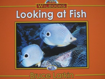 (image for) Wilbooks Looking at Fish (P) by Bruce Larkin