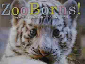 (image for) Zoo Borns! Zoo Babies from Around the World (P)(Big) by Bleiman,