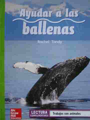 (image for) CCSS 2 Ayudar a las ballenas (P) by Rachel Tandy