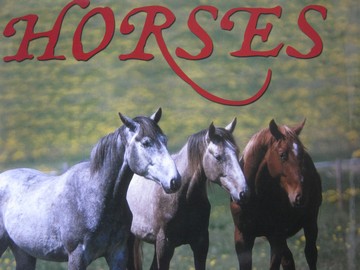 (image for) Horses (H) by Seymour Simon