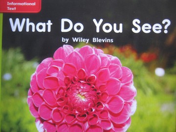 (image for) CCSS PreK What Do You See? (P) by Wiley Blevins