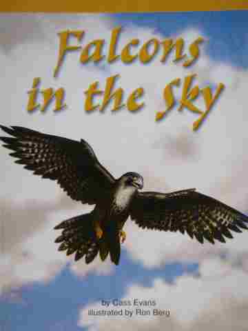 (image for) Excursions Book 3 Falcons in the Sky (P) by Cass Evans