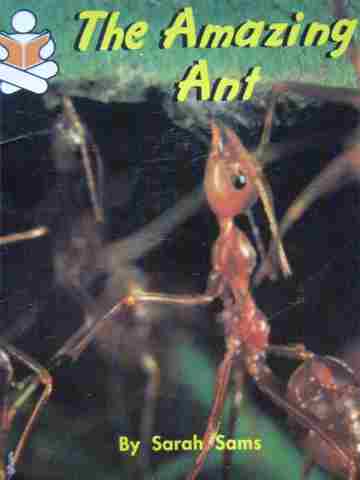 (image for) Story Box The Amazing Ant (P) by Sarah Sams