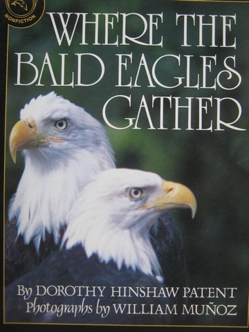 (image for) Where the Bald Eagles Gather (P) by Dorothy Hinshaw Patent