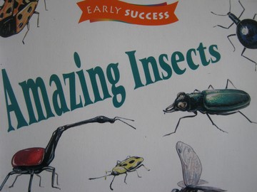 (image for) Early Success 2 Amazing Insects (P) by L Patricia Kite