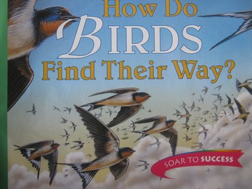 (image for) Soar to Success 5 How Do Birds Find Their Way? (P) by Roma Gans