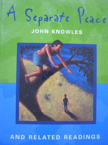 (image for) Literature Connections A Separate Peace & Related Readings (H)