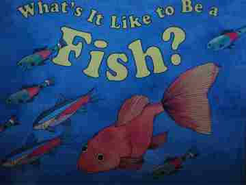 (image for) Little Readers What's It Like to Be a Fish? (P) by Wendy Pfeffer