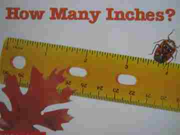 (image for) Sound & Letter Books How Many Inches? (P)