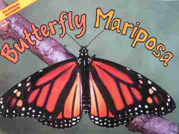 (image for) Butterfly Mariposa (P) by Susan Canizares