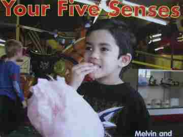 (image for) Your Five Senses (P) by Melvin & Gilda Berger