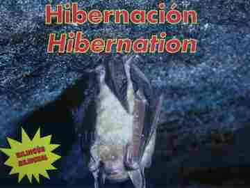 (image for) Hibernacion / Hibernation (P) by Melvin & Gilda Berger