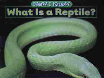 (image for) Now I Know What Is a Reptile? (P) by Melvin & Gilda Berger