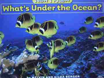 (image for) Now I Know What's Under the Ocean? (P) by Melvin & Gilda Berger