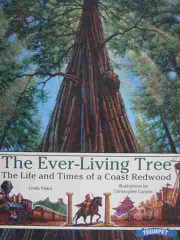 (image for) Ever-Living Tree (P) by Linda Vieira
